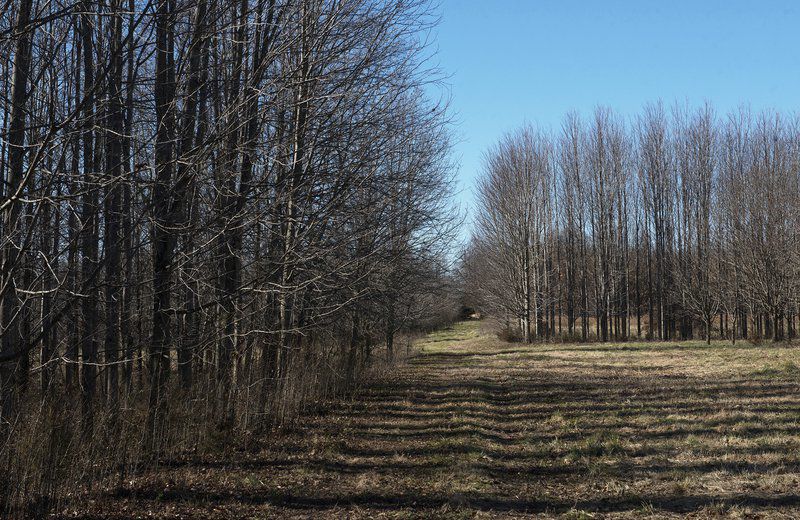 Medical marijuana cultivation site proposed for Sarcoxie